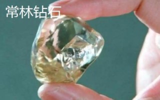 山東省金鄉(xiāng)縣的特產(chǎn)，胡集白梨瓜走俏全國