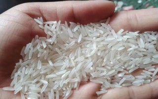 怎么使用碾米機(jī)，需要先平穩(wěn)地將其放在工作臺(tái)上