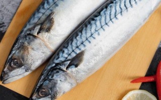 青花魚是鲅魚嗎，二者是不同的兩種魚
