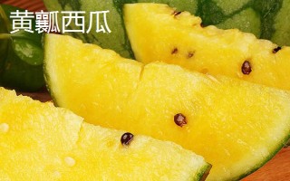 黃瓤西瓜是不是轉(zhuǎn)基因食品，是臺灣引進(jìn)的稀有品種不是轉(zhuǎn)基因食品