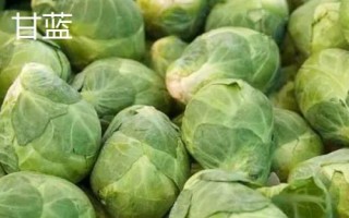 包菜可以保存多久，放入冰箱冷藏室可以保存一個多月