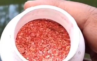 多鱗白甲魚(yú)的生活環(huán)境，喜歡生活在砂石底質(zhì)的高山溪流中