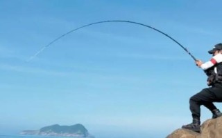 春釣大鯽魚(yú)如何選擇釣位，早春可在回水灣作釣