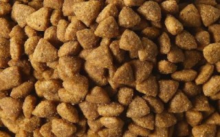 杜賓犬適合吃什么狗糧，愛慕絲、麥頓、麥德琳等品牌均為適宜選擇