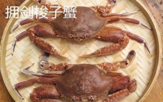 白蟹和梭子蟹有什么區(qū)別，二者沒有區(qū)別只是叫法不同
