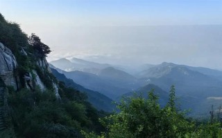 山東泰安市的水果特產