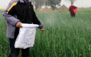 如何對(duì)蔬菜控施氮肥，可主施腐熟的有機(jī)肥、減少氮肥用量