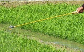 1克吡蟲啉兌多少斤水，25%吡蟲啉1g一般可兌水3000ml