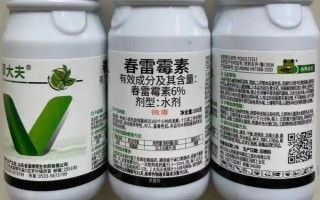 春雷霉素能防治稻瘟病嗎，對苗瘟和葉瘟的防治效果都不錯(cuò)