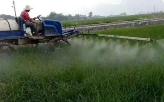 對蔬菜噴施樂果要過多久才能吃，至少要等待7天左右
