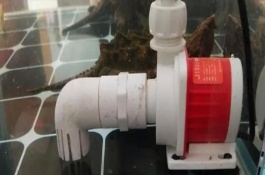 魚(yú)缸水泵老是吸住小魚(yú)怎么辦，需固定管路