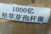 枯草芽孢桿菌灌根用量，可防治青枯病、潰瘍病、性軟腐等