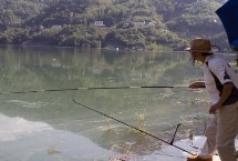 釣鯉魚用什么魚漂，可以釣底也可以釣浮