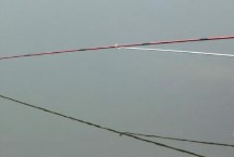 爆炸鉤為什么叫爆炸鉤，垂釣者請(qǐng)慎用