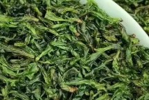 苦丁茶的產(chǎn)地，產(chǎn)地和口感均不同