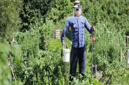 菜園子為什么用籬笆圍起來(lái)，可以掛布條、扎稻草人等