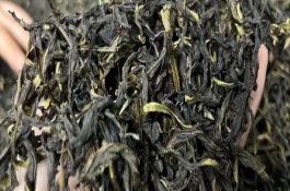 鳳凰單叢怎么采制，屬于烏龍茶