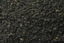 韭菜籽如何播種，每采收一次就要追施一次肥料