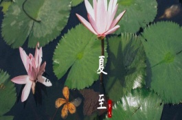 夏至要吃些什么，部分地方會(huì)進(jìn)行祭祖大典