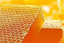 營養(yǎng)價值，與南方荔枝蜜合稱“南北兩大名蜜”
