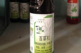 使用百草枯的注意事項(xiàng)，在不同作物帶上的使用方法不同