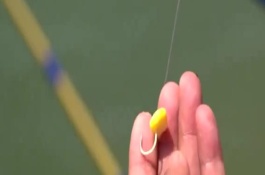 玉米釣魚什么季節(jié)最好，取決于魚種、釣場(chǎng)、天氣