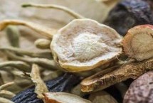 種植藥材怎么找銷路，具有成功案例但只是少數(shù)情況