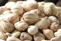 豆蔻的特點(diǎn)，是生活中常見(jiàn)的一種調(diào)料