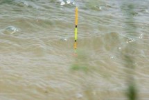 釣鯽魚(yú)何時(shí)提竿，調(diào)四釣二、調(diào)五釣三均可觀察到明顯的頓口