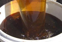土蜂蜜由哪種蜜蜂生產(chǎn)，產(chǎn)于我國北方地區(qū)