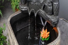 魚缸換水有哪些注意事項，水循環(huán)魚缸也需要換水