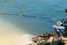 200元以內(nèi)的魚竿推薦，玄圖、慶魚年、霸王悍等竿型均為適宜選擇