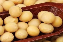 吉農(nóng)257大豆栽培技術要點，出苗至成熟平均117天