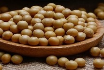 龍達(dá)157大豆栽培技術(shù)要點(diǎn)，高肥力地塊2萬株/畝