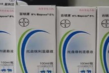 百球清可以和普通的內驅藥一起用嗎，安全性較高可以一起使用