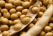 大豆的價(jià)格，具體售價(jià)因包裝規(guī)格等條件而異