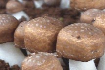 姬松茸收獲時(shí)間，春秋季節(jié)為適宜收獲期