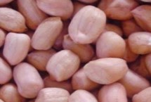 南陽市去殼花生的價(jià)格，各縣區(qū)的售價(jià)會(huì)上下浮動(dòng)