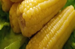 滬甜1301玉米栽培技術(shù)要點，還要防治玉米螟危害