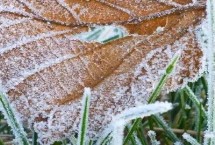 白露節(jié)氣相關(guān)的俗語，白露處于9月上旬、寒露處于10月上旬