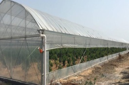 大棚降溫的最佳方案，根據(jù)天氣狀況控制放風口的寬度