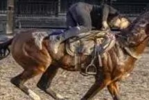 汗血寶馬介紹，其祖先是生長在戈壁地帶的野馬