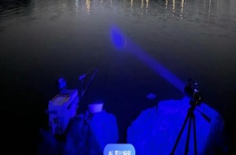 傍晚好釣魚嗎，溫暖季節(jié)的傍晚好釣魚