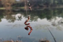 用蚯蚓釣魚時應(yīng)該如何調(diào)漂，可采用加鉛、找底、剪鉛等方式