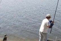 攝食習(xí)性，夏季、初秋等氣溫高的晚上是作釣的黃金時(shí)間