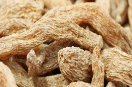 對天麻進(jìn)行人工授粉要注意什么，當(dāng)?shù)氐臍夂驖M足條件才能種植