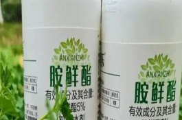 胺鮮酯和蕓苔素的區(qū)別，沒(méi)有控旺作用