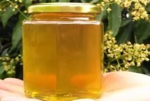 荔枝蜂蜜的真假鑒別，一般30-50元一斤