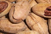 碧根果怎么保存，在我國主產(chǎn)于云南、廣東、新疆等地方