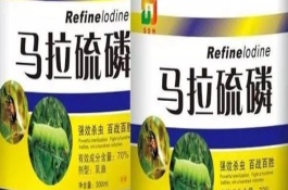 馬拉硫磷農藥可以殺什么蟲，主要防治粘蟲、蚜蟲、葉蜂、食心蟲等